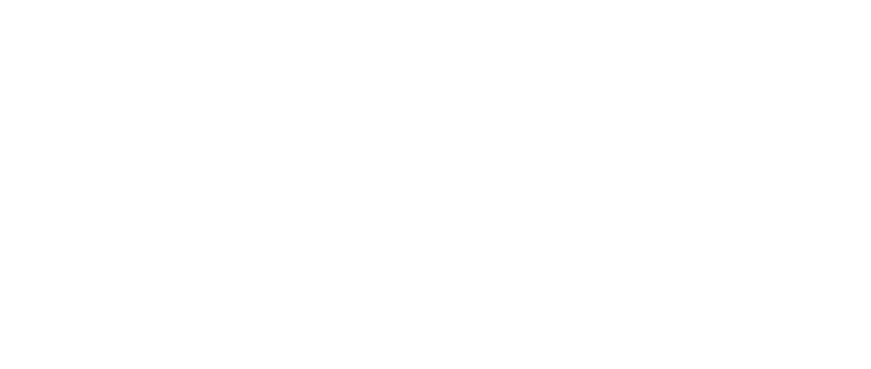 DMC Security — Dynamic Cyber Security